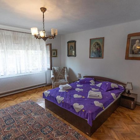 Doi Bujori Apartment Alba Iulia Exterior photo