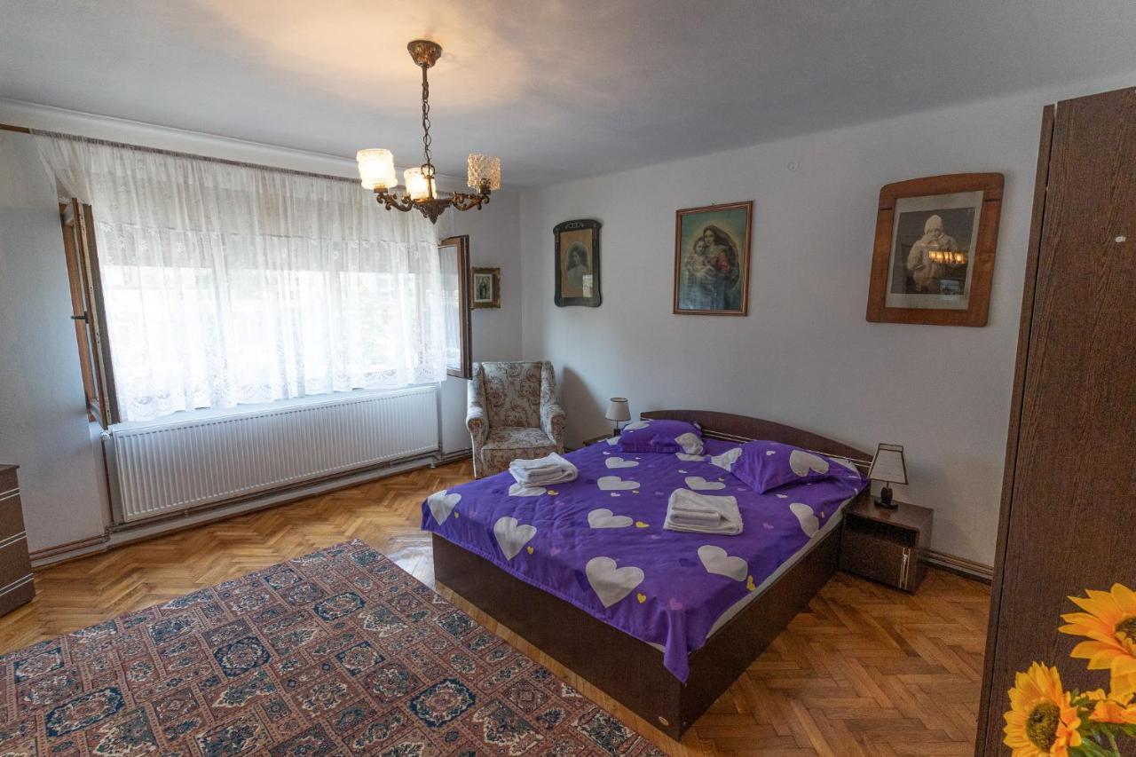 Doi Bujori Apartment Alba Iulia Exterior photo
